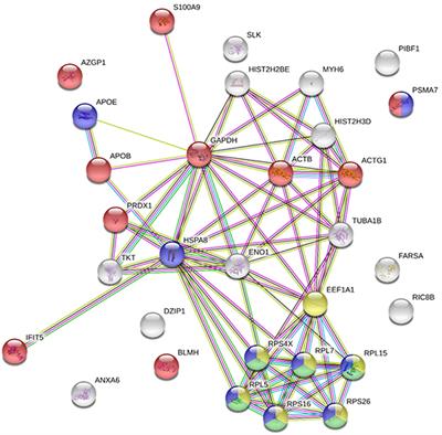 IFIT5 Participates in the Antiviral Mechanisms of Rainbow Trout Red Blood Cells